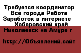 Требуется координатор - Все города Работа » Заработок в интернете   . Хабаровский край,Николаевск-на-Амуре г.